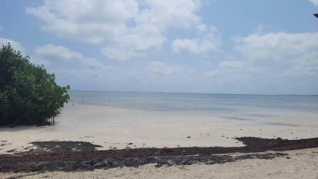 Beach, Akuazul Resorts Only Adults, Cancun Area