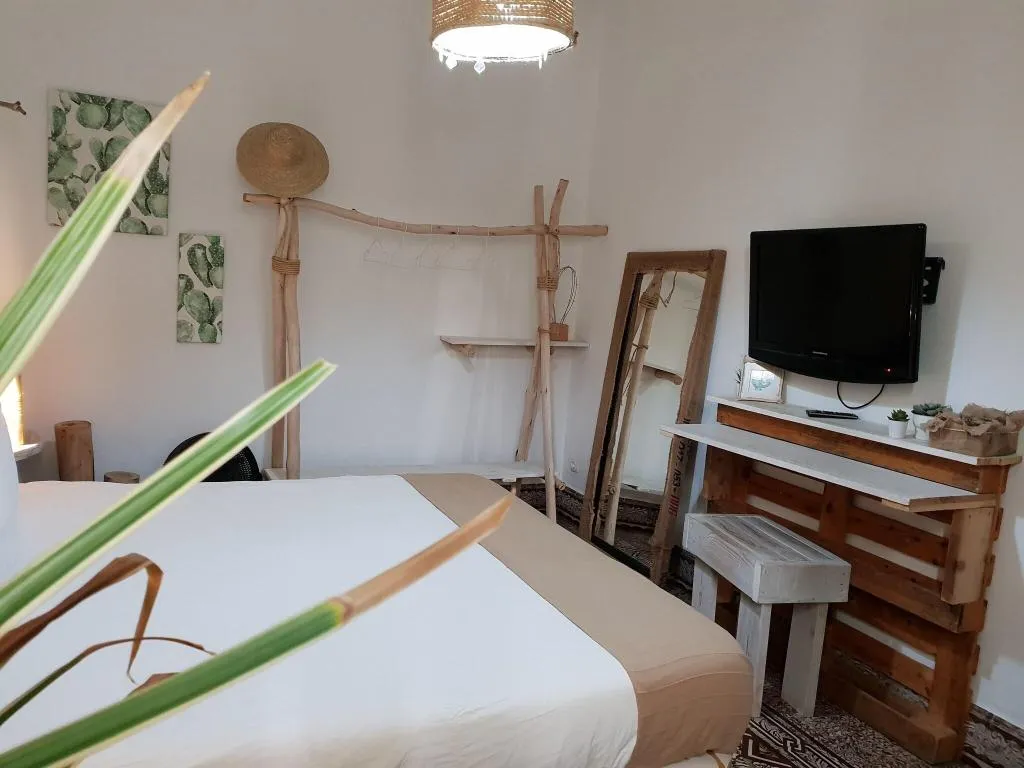 Room, Cactus Host, Gran Canaria