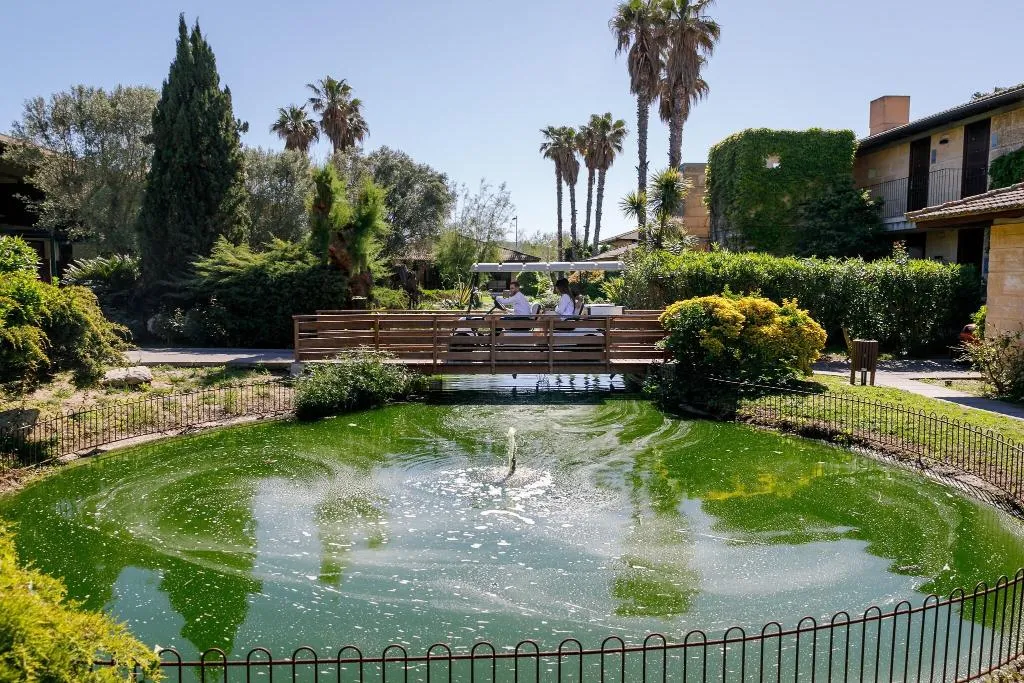 General view, PortBlue Club Pollentia Resort & Spa, Majorca
