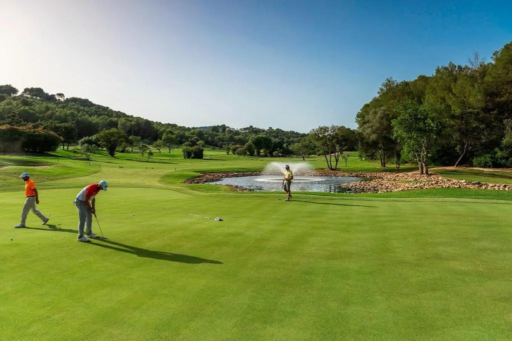 Sports and Entertainment, Sheraton Mallorca Arabella Golf Hotel, Majorca