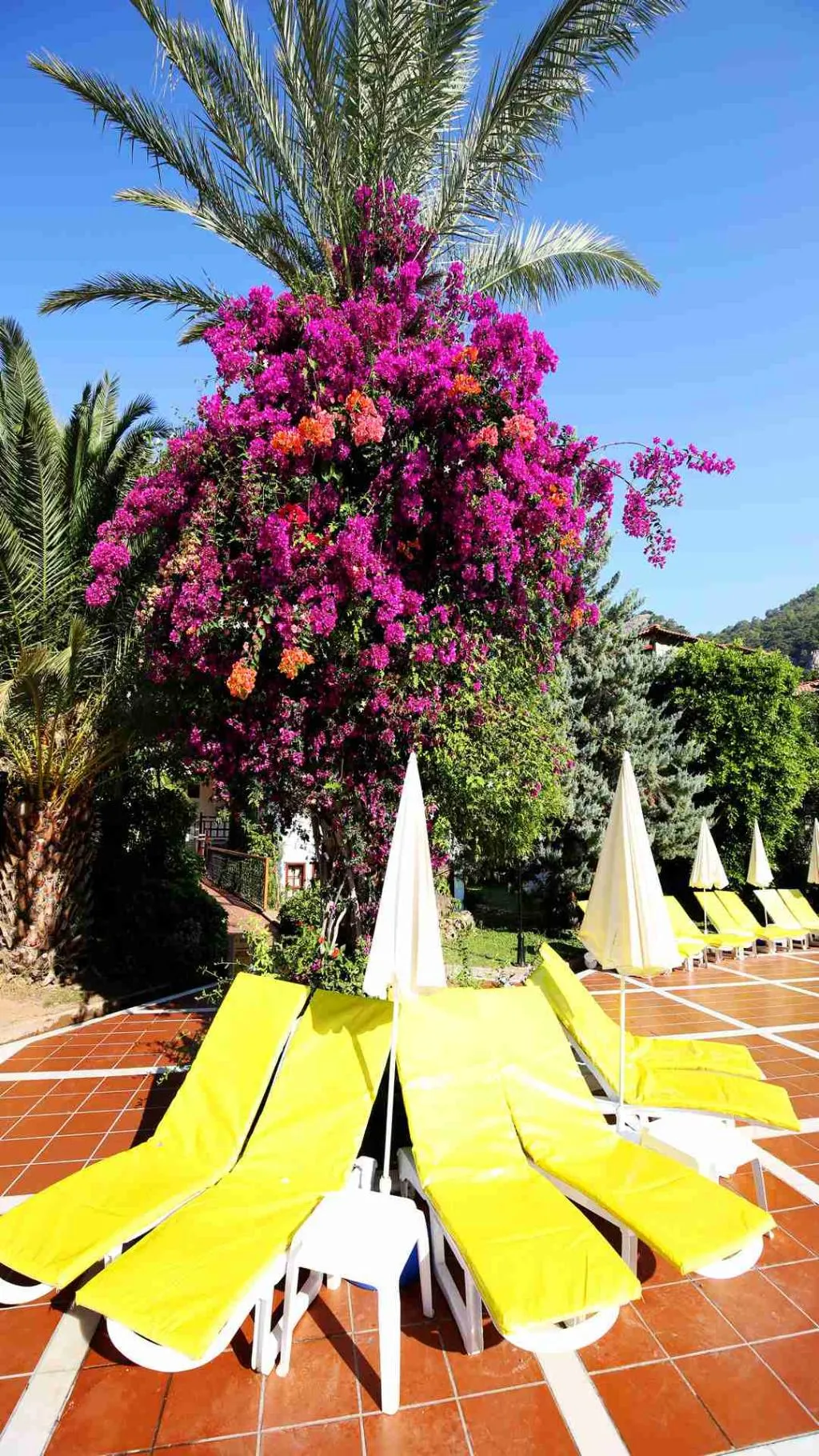 Pool, Alize Hotel, Dalaman