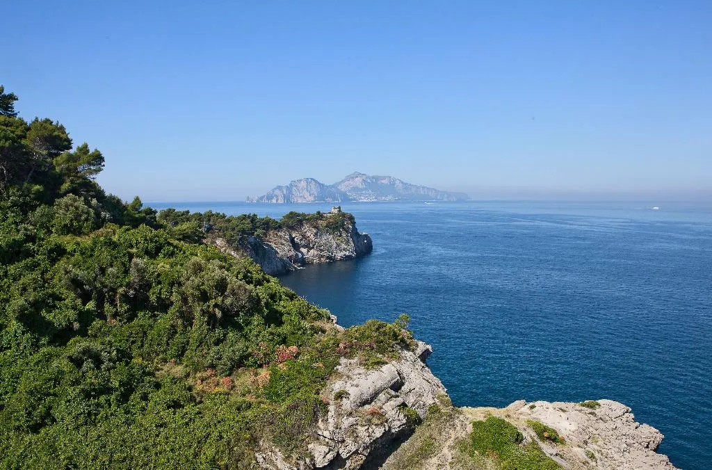 General view, Delfino, Naples