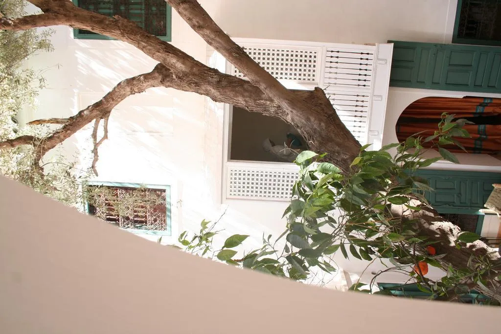 General view, Riad Zitouna, Marrakech