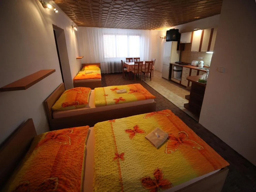 Room, Penzion V Roklích, Prague