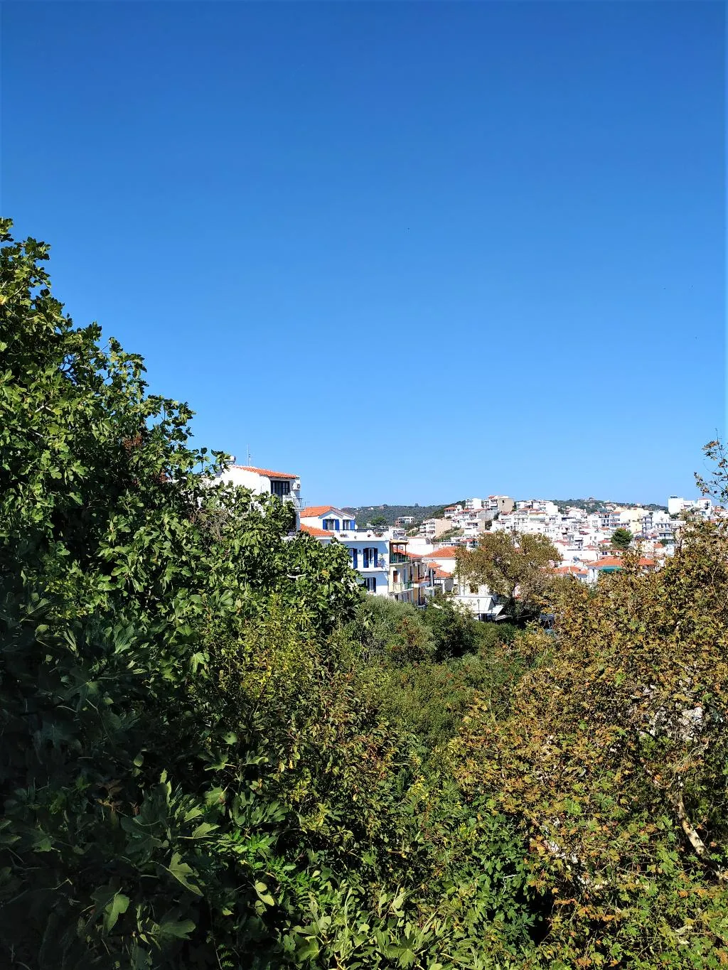 APARTMENT CAPACITY 4 Room, Argo, Skiathos