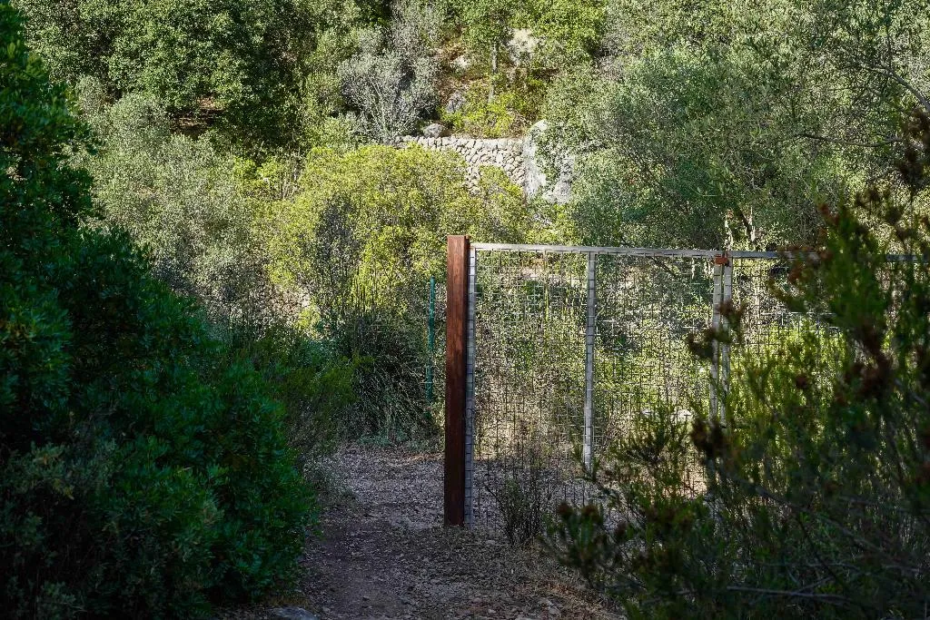 Sports and Entertainment, Hotel Rural S'Olivaret, Majorca
