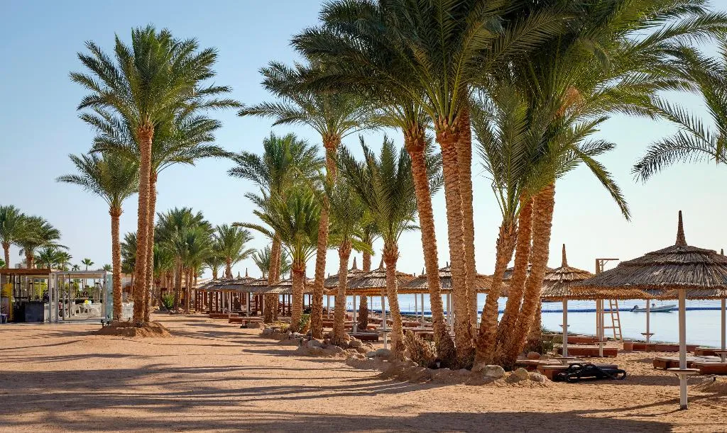 Beach, Coral Sea Sensatori, Red Sea Riviera