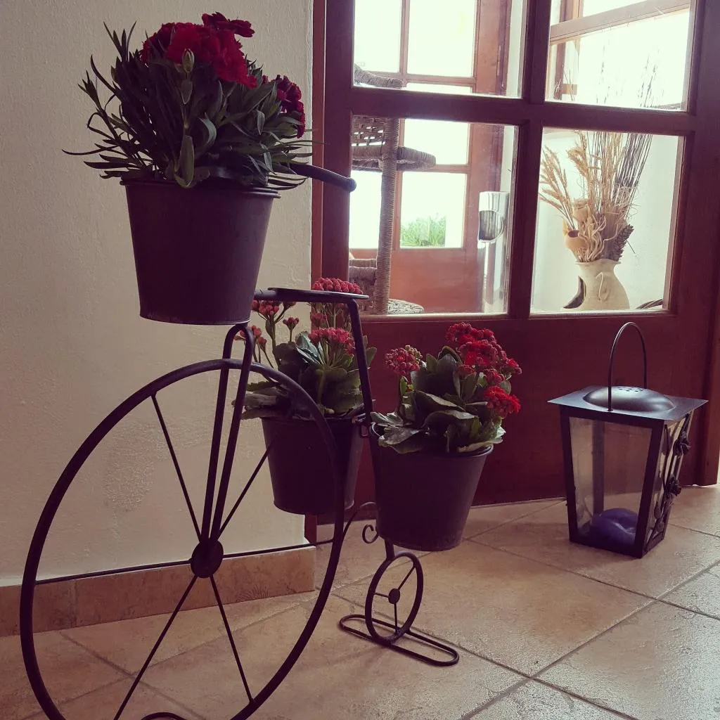 Lobby, Amazones Village Suites, Crete