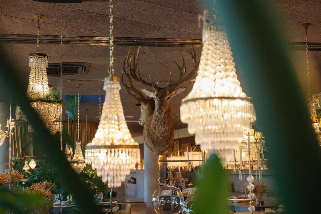 Conferences, Carmo's Boutique Hotel, Porto