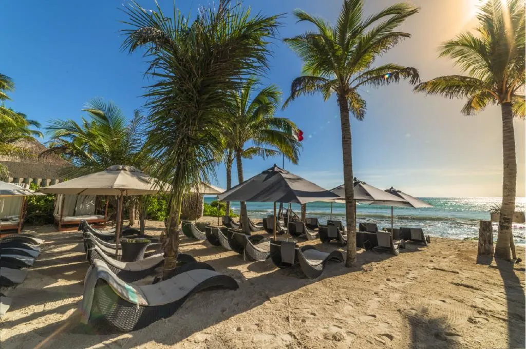 Beach, Mvngata Beach Hotel, Cancun Area