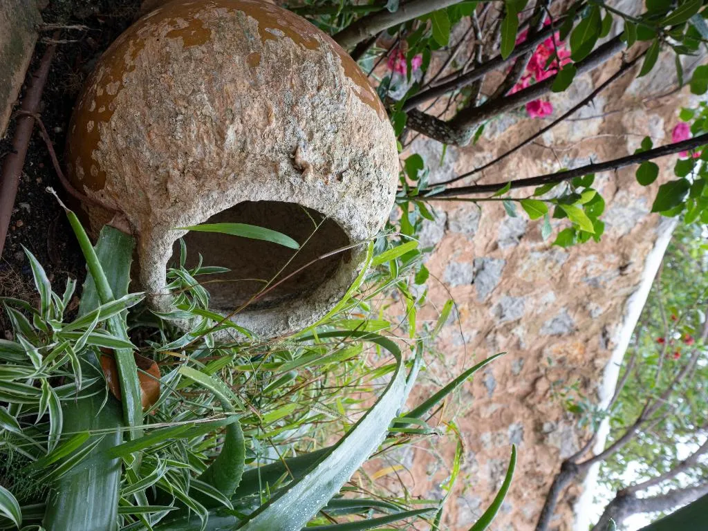 Double or Twin SUPERIOR Room, Agroturismo Can Pere Sord, Ibiza