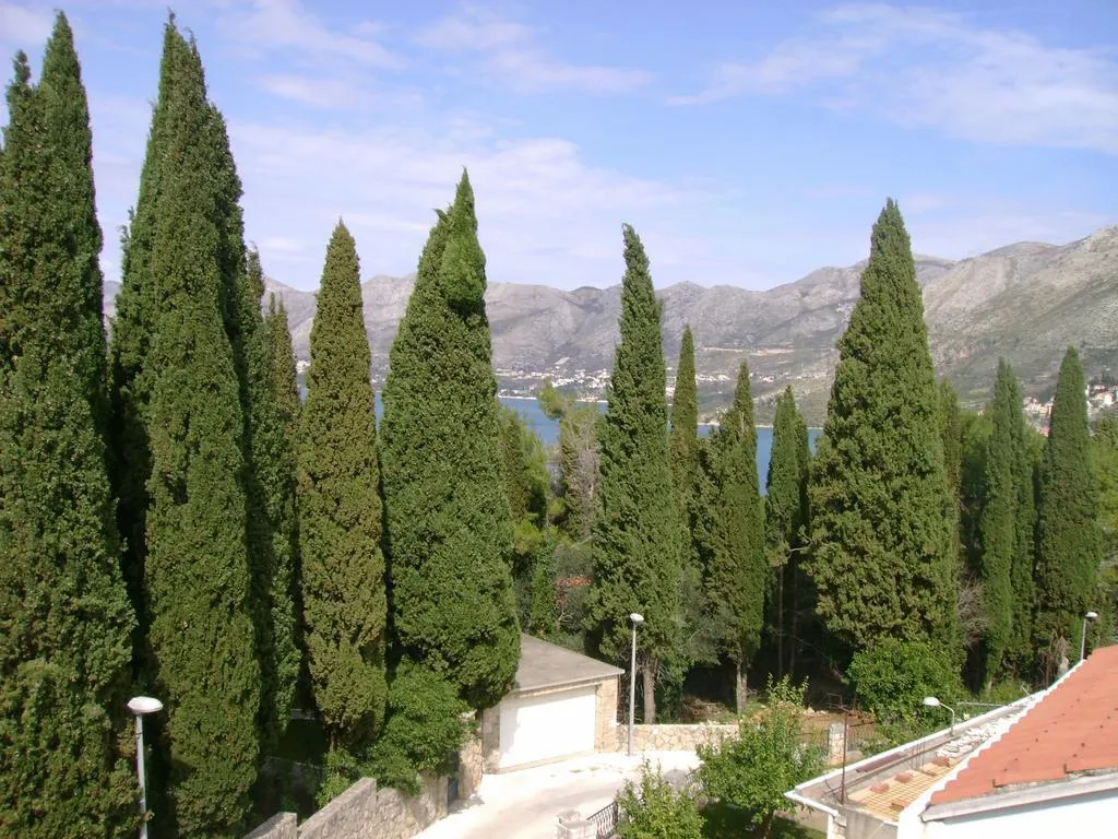 General view, Villa Anka, Dubrovnik