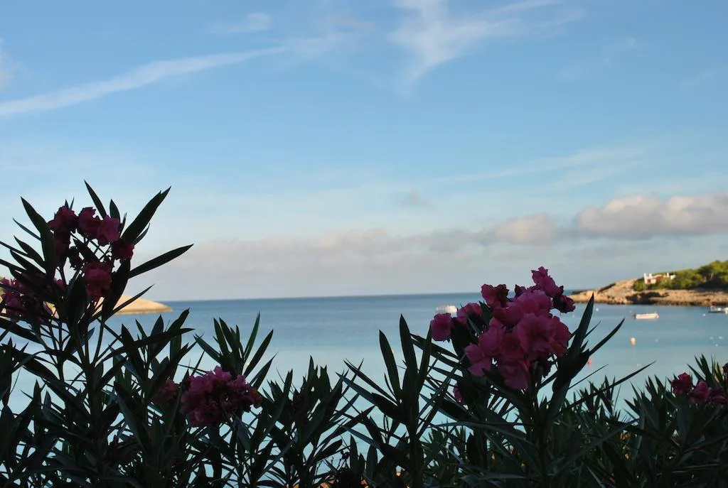 General view, Apartamentos Australasia Playa, Ibiza