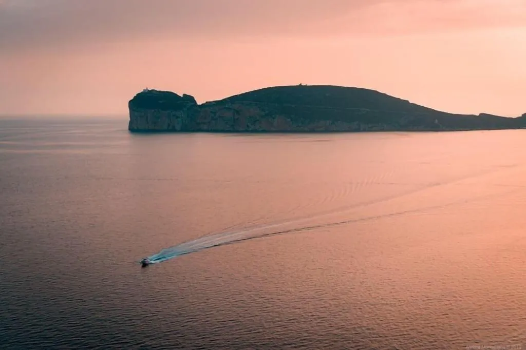 General view, Elisart, Alghero