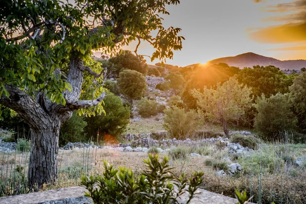 General view, Vasilikata, Crete