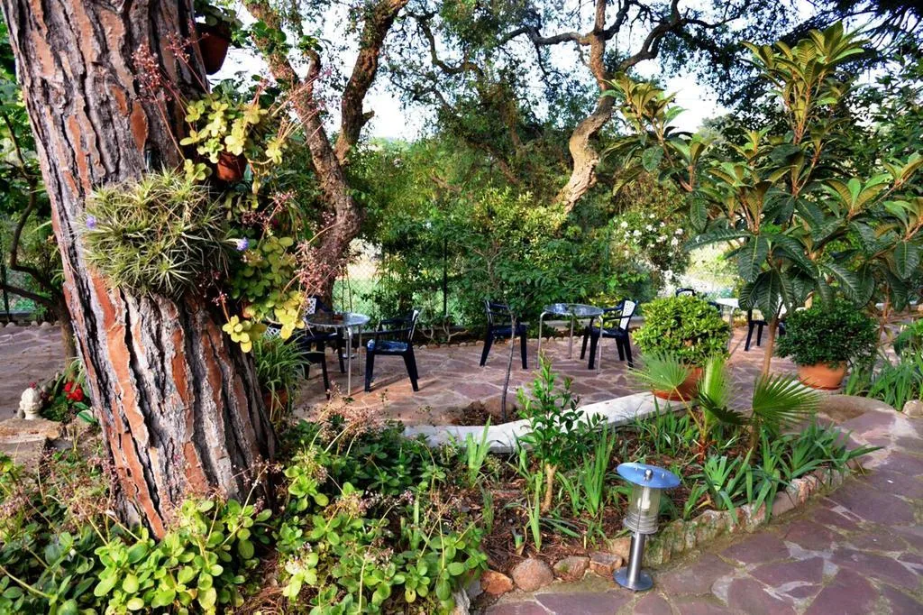 Terrace, Magnolia, Costa Brava