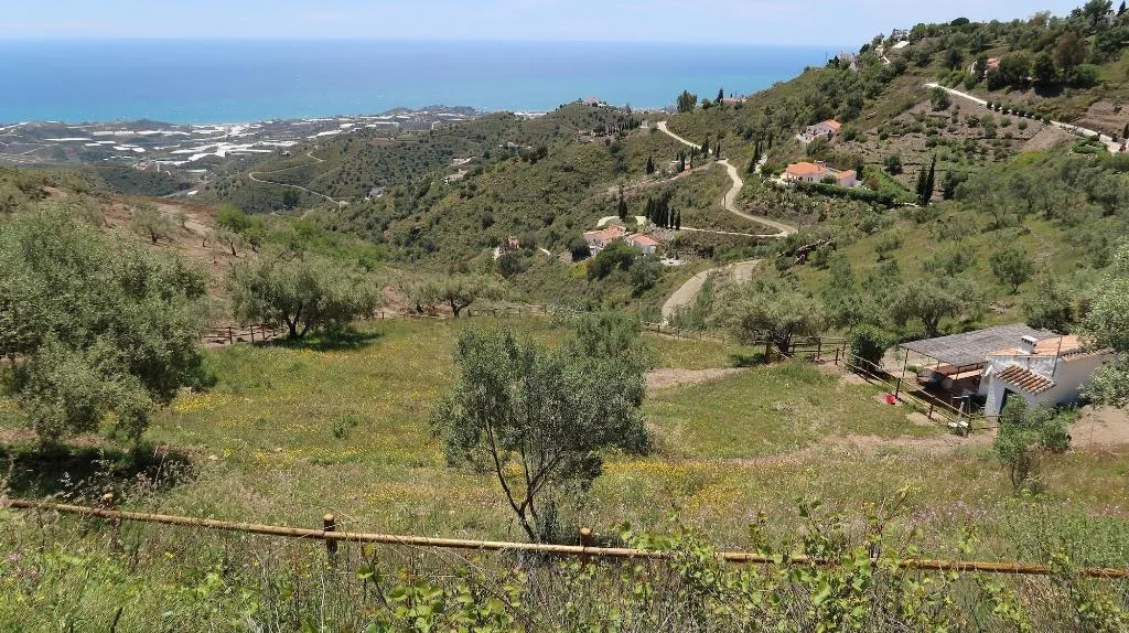 General view, Campo Agave - Boutique B&B en Glamping, Costa Del Sol
