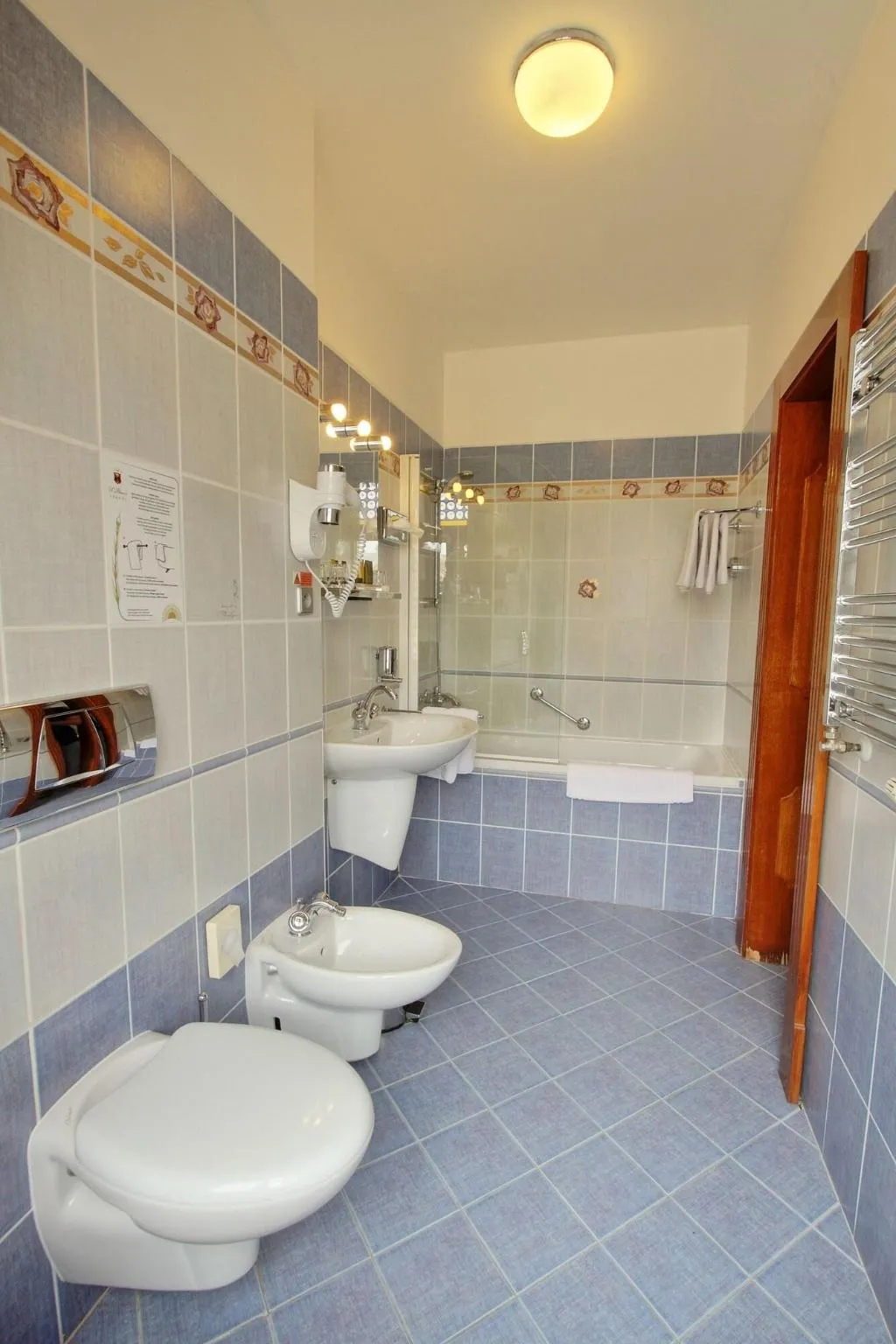 Room, U Pava, Prague