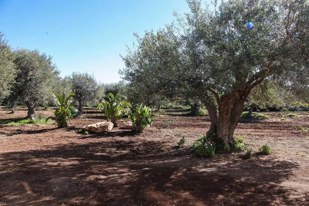 General view, Zahir Country House, Catania