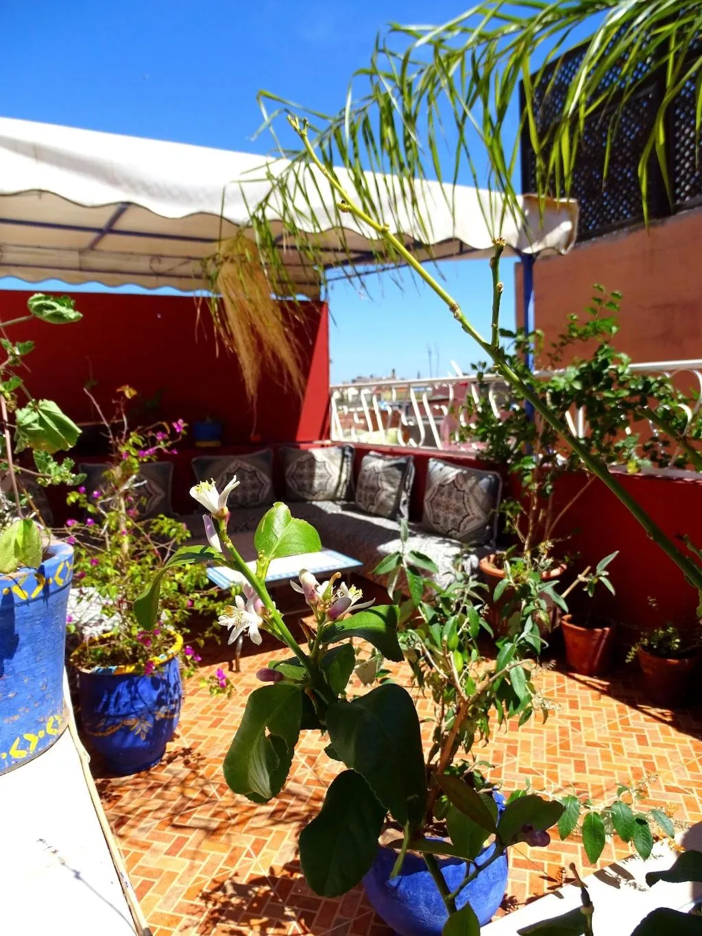 General view, Riad Yara, Marrakech