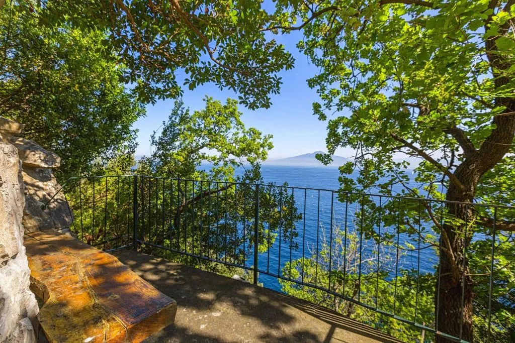 Terrace, Belair, Naples