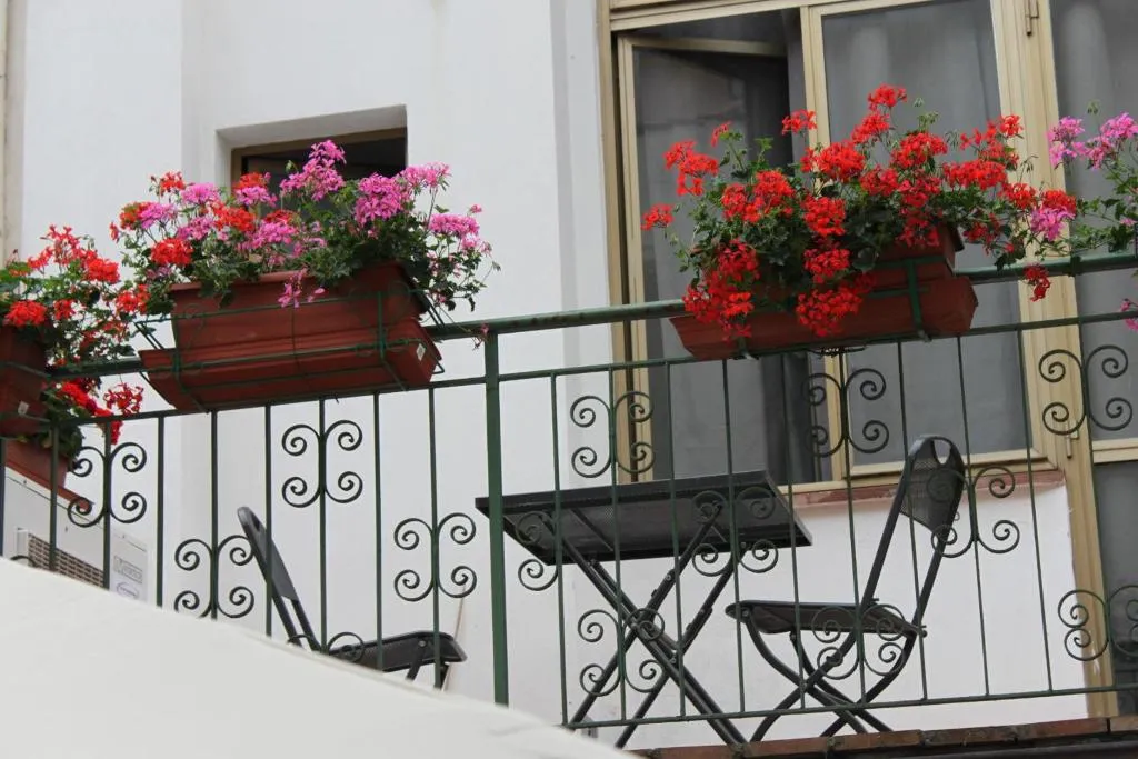 General view, Hotel Dalmazia, Florence