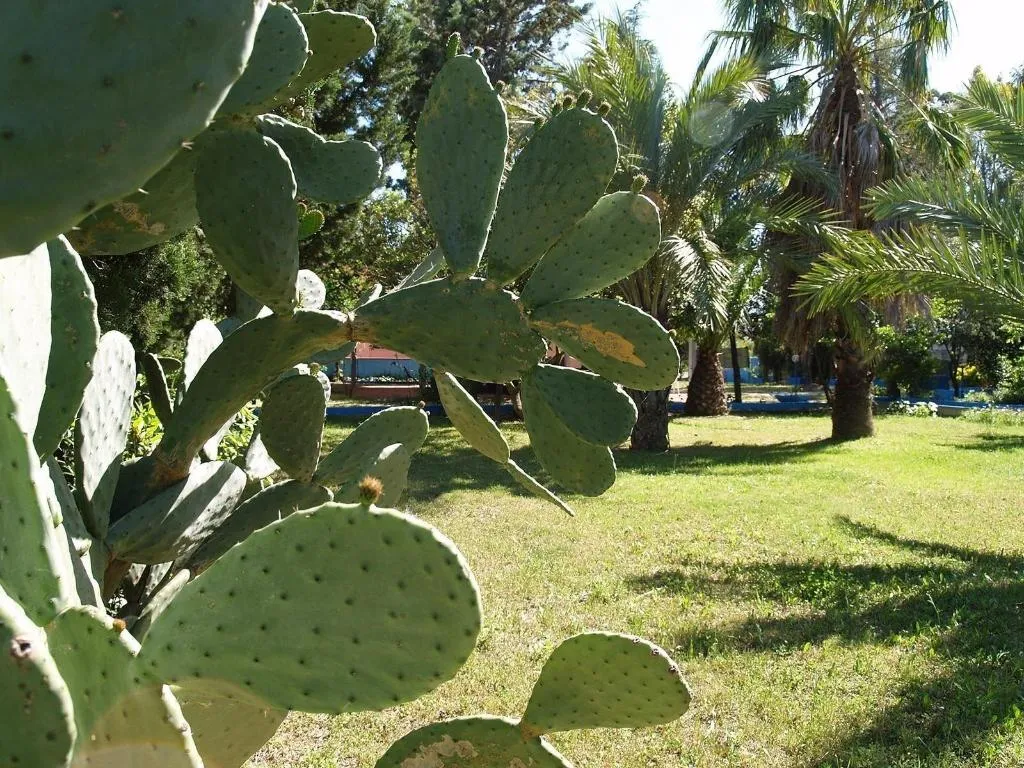 General view, Hotel Corallo, Olbia