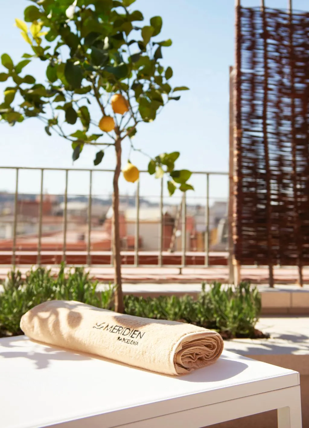 Pool, Le Meridien Barcelona, Barcelona