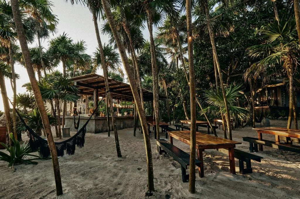 Bar, Our Habitas Tulum - Adults Only, Cancun Area