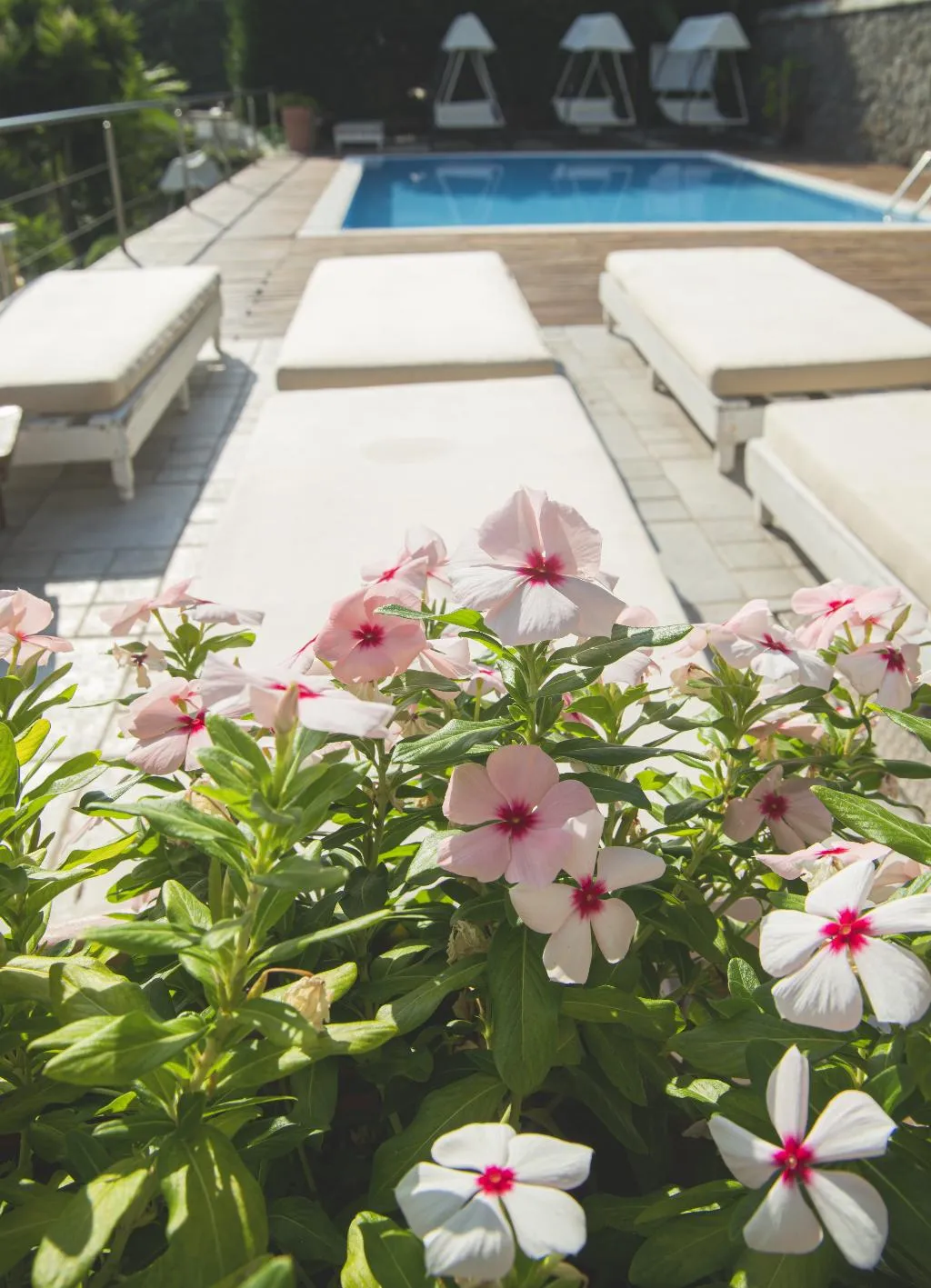 Pool, Marina 10 Boutique & Design Hotel, Naples