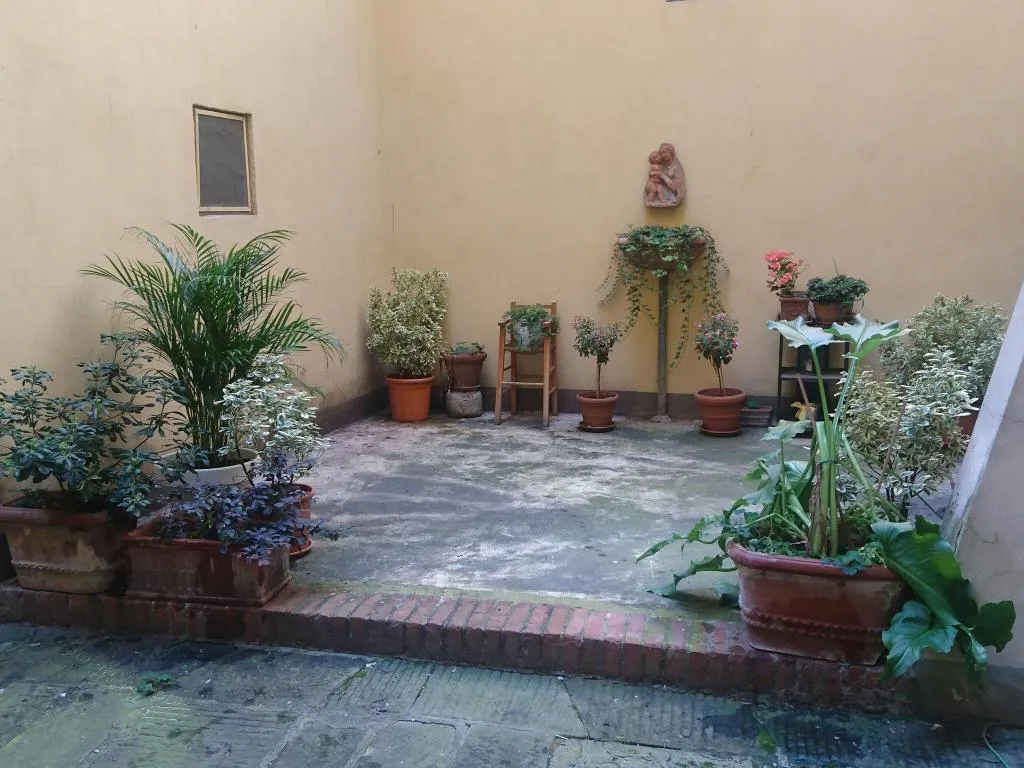 General view, Il Pitti Soggiorno, Florence