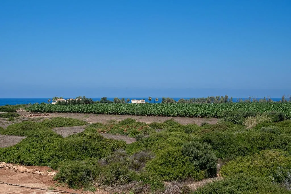 Beach, Sea Point Villas, Cyprus