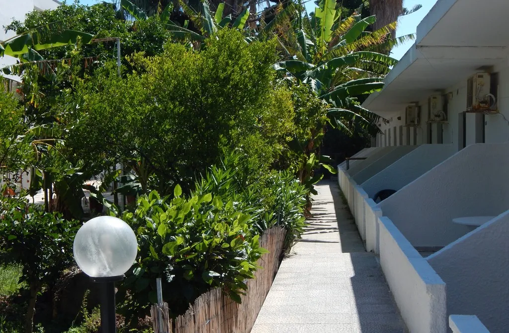 Terrace, Dreams 4U Apartments, Kos