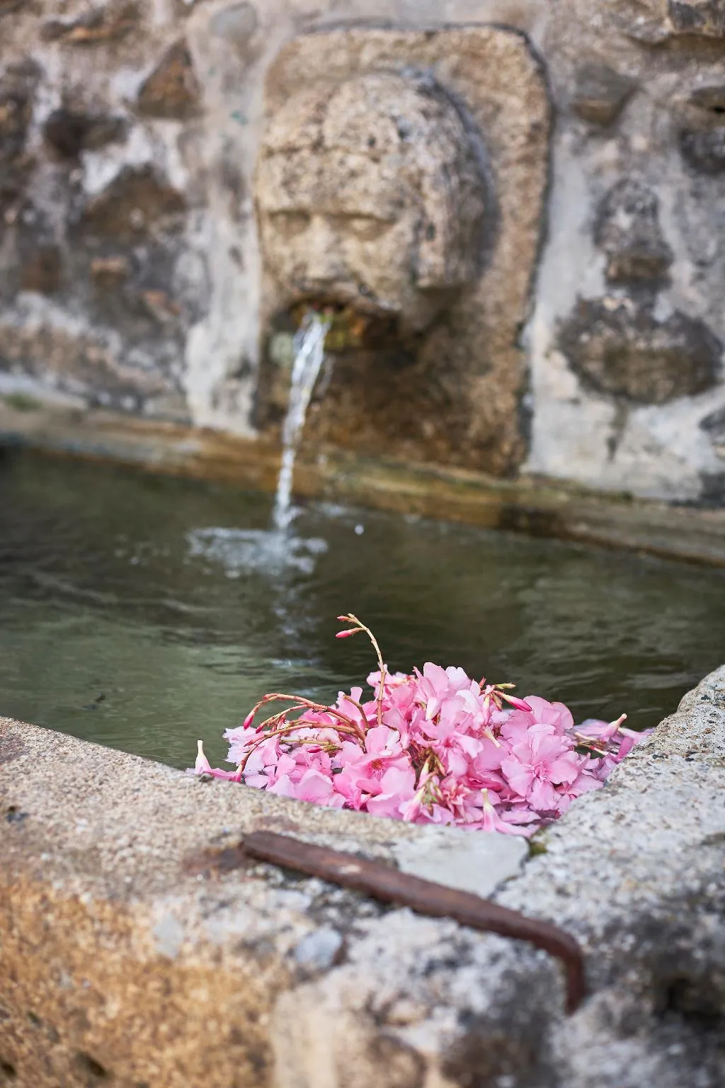 General view, Casa De Canedo, Porto
