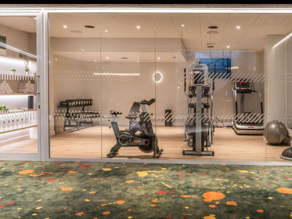 Sports and Entertainment, ibis Styles Barcelona Sant Joan Despi, Barcelona