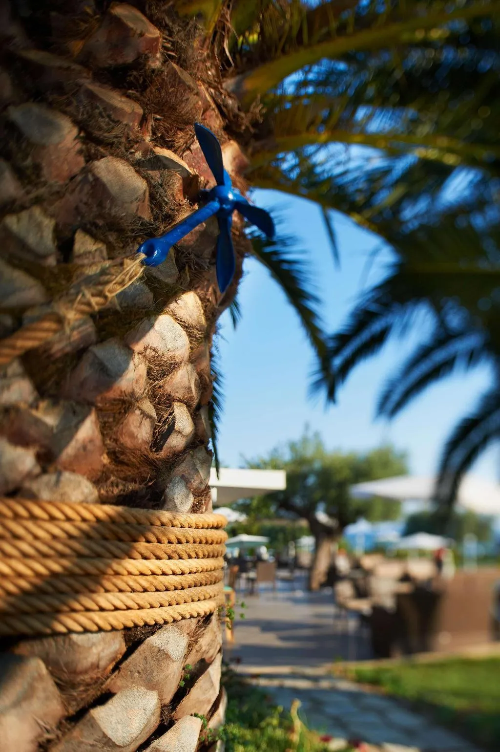 Sports and Entertainment, Acrotel Elea Beach, Halkidiki