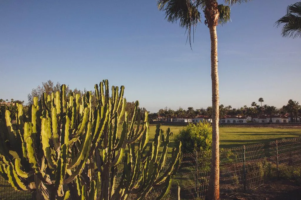 General view, Vista Verde - Adults Only, Gran Canaria