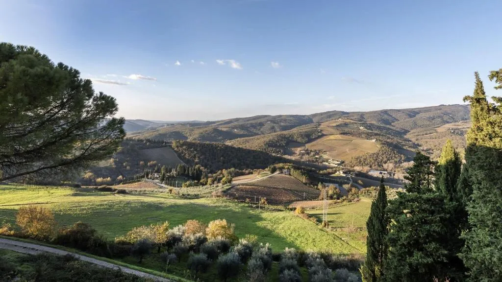 SINGLE STANDARD Room, Relais Vignale & Spa, Florence
