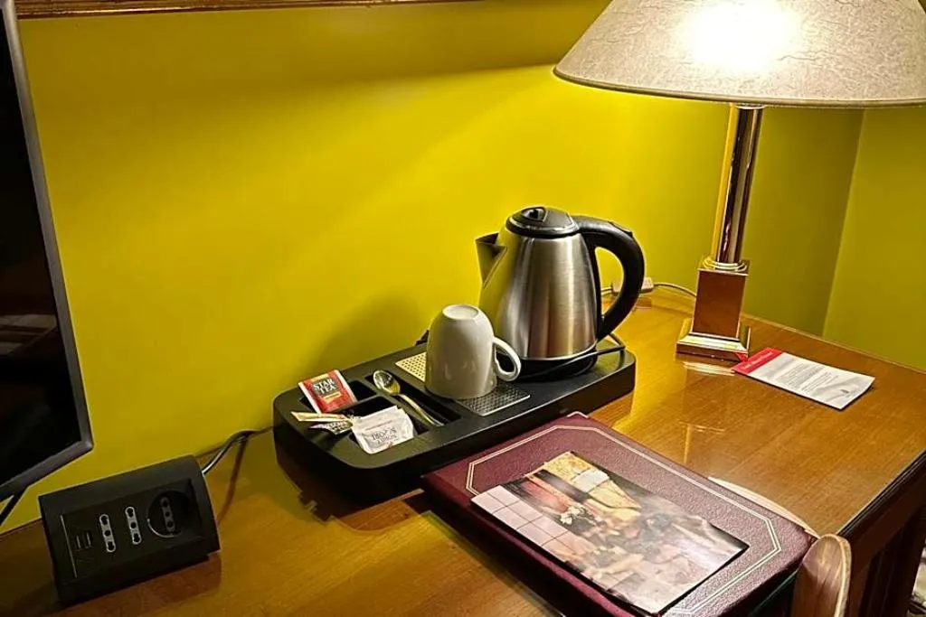 SINGLE CLASSIC Room, Albani Firenze, Florence