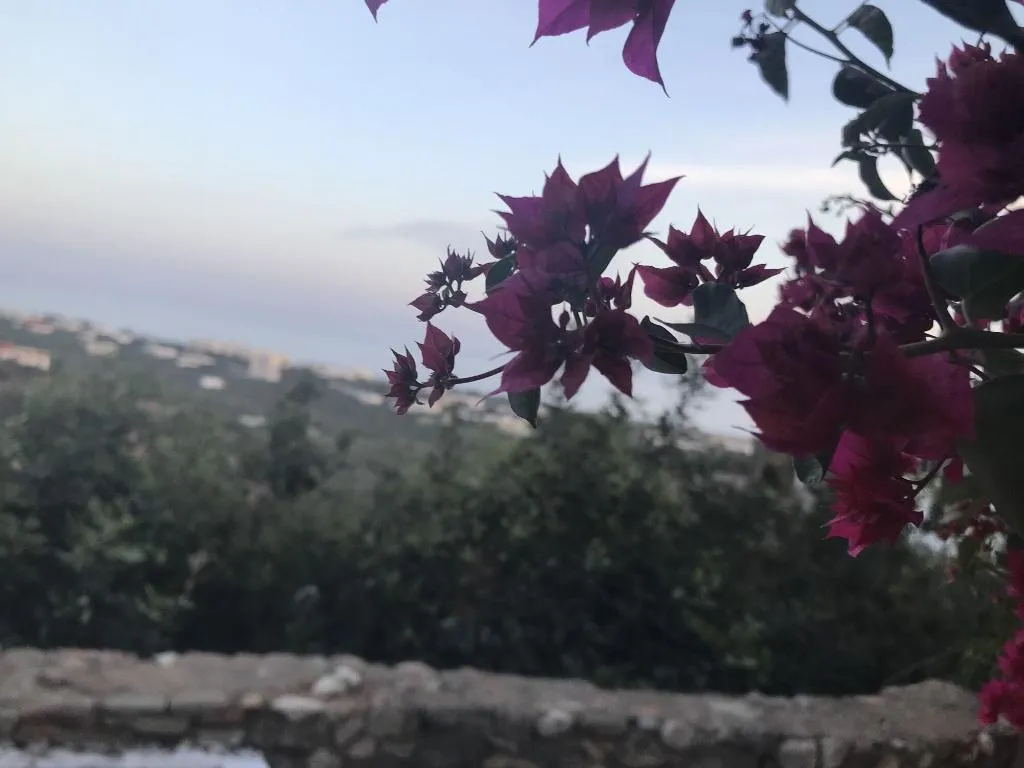 General view, Koutsounari Traditional Cottages, Crete