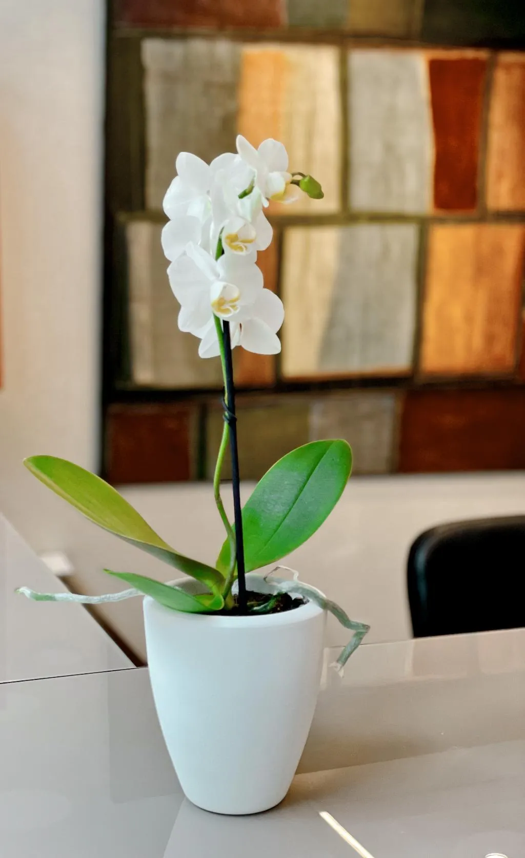 Lobby, Sant Antoni, Barcelona