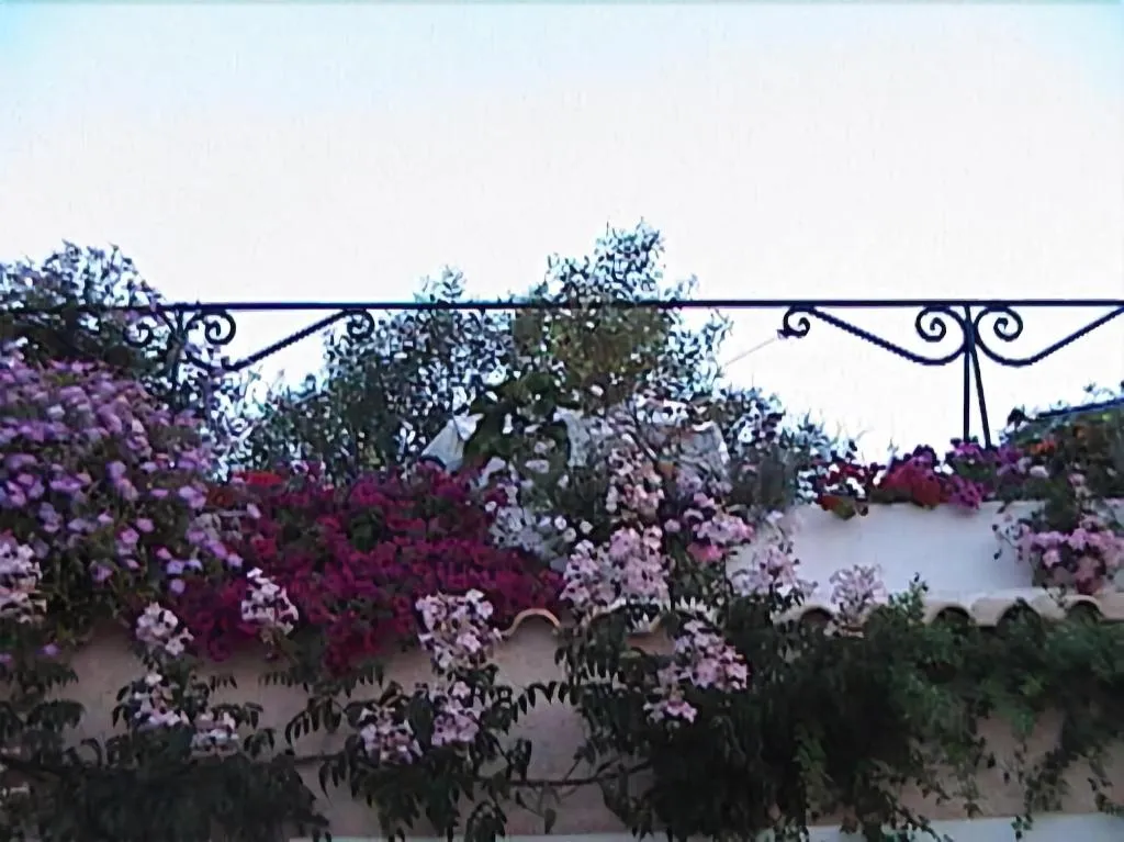 General view, 75 Steps Taverna And Accomodation, Corfu
