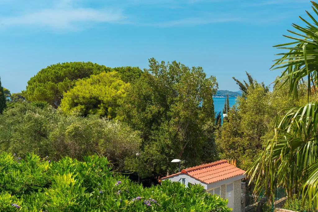SINGLE STANDARD Room, Komodor, Dubrovnik