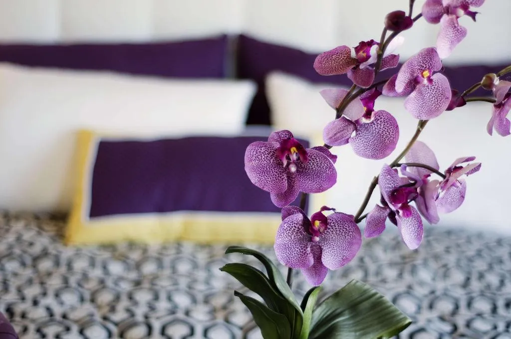 Room, Allium Bodrum Resort & Spa, Bodrum
