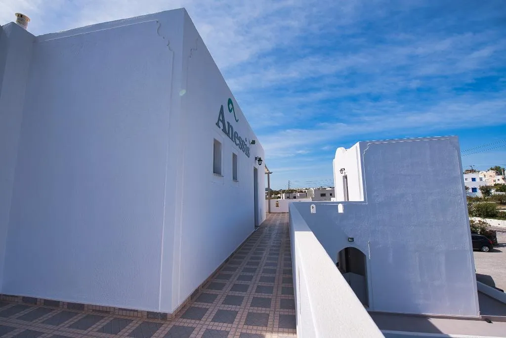 General view, Anessis, Santorini