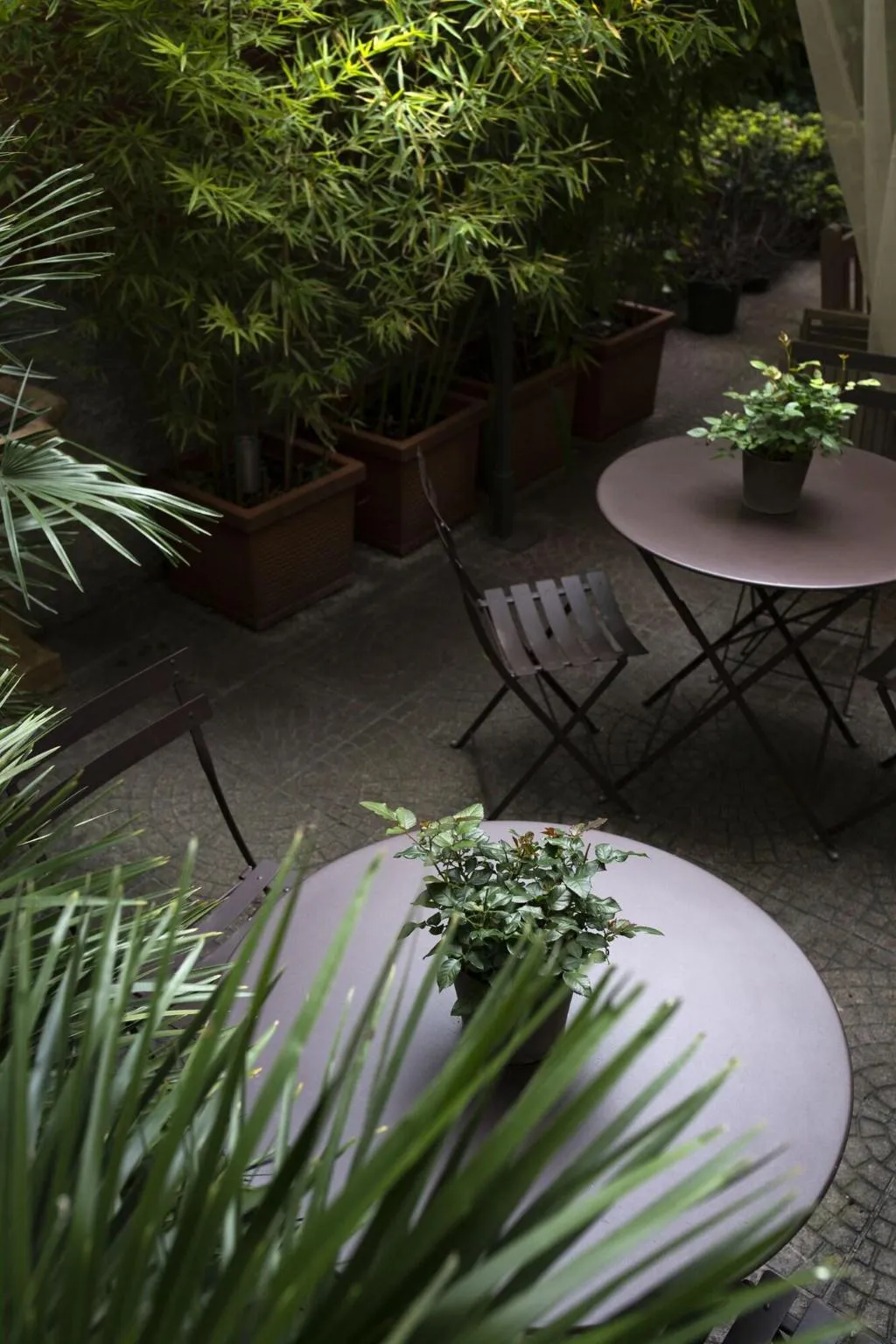 Terrace, Colombia, Milan