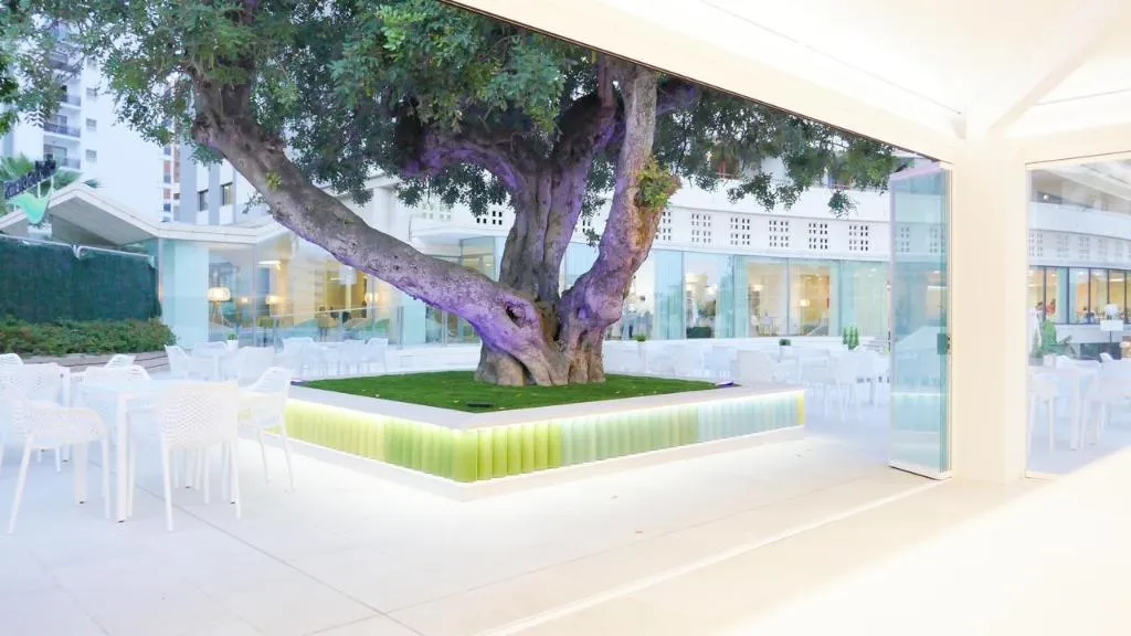 Terrace, Primavera Park Hotel, Costa Blanca