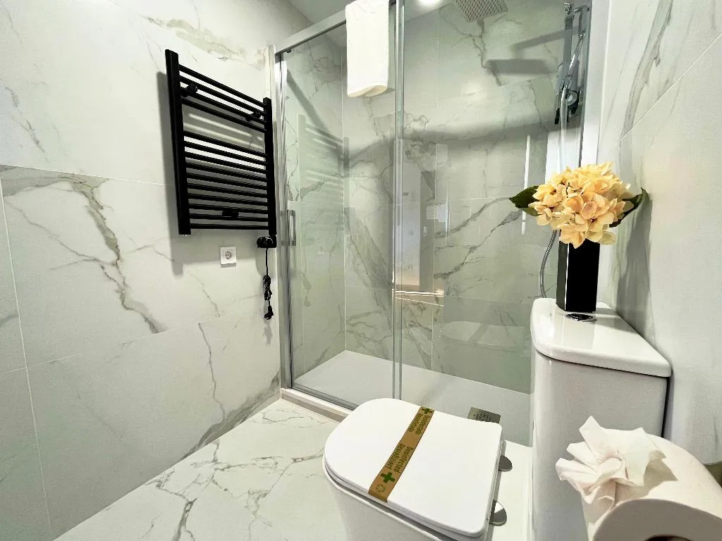 APARTMENT DELUXE GARDEN VIEW Room, Cason De Los Lopez Apartments, Madrid