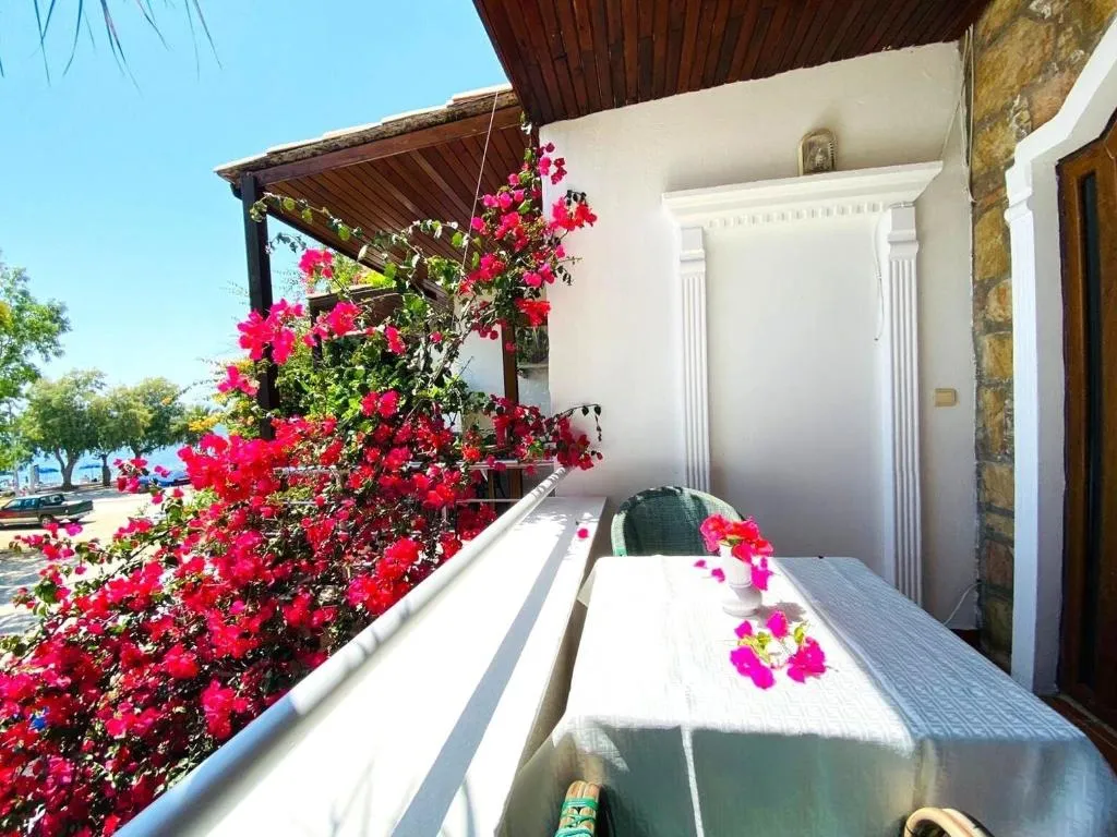 Room, Asterina Hotel, Bodrum