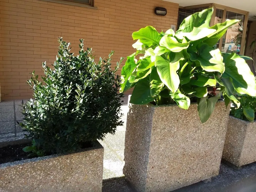 Terrace, Hotel Nyers, Perugia